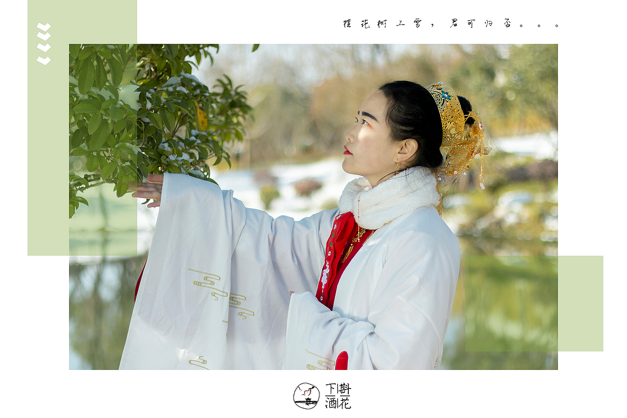 桂花树上雪,君可归否?