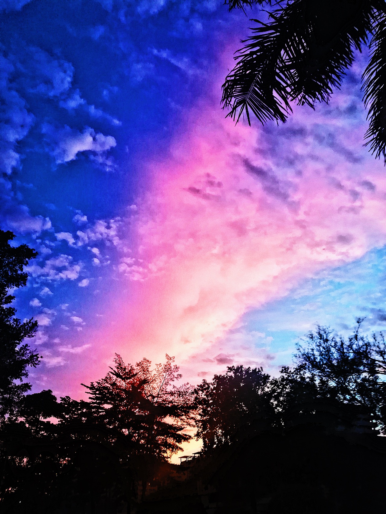 行行摄色 | 夕阳红