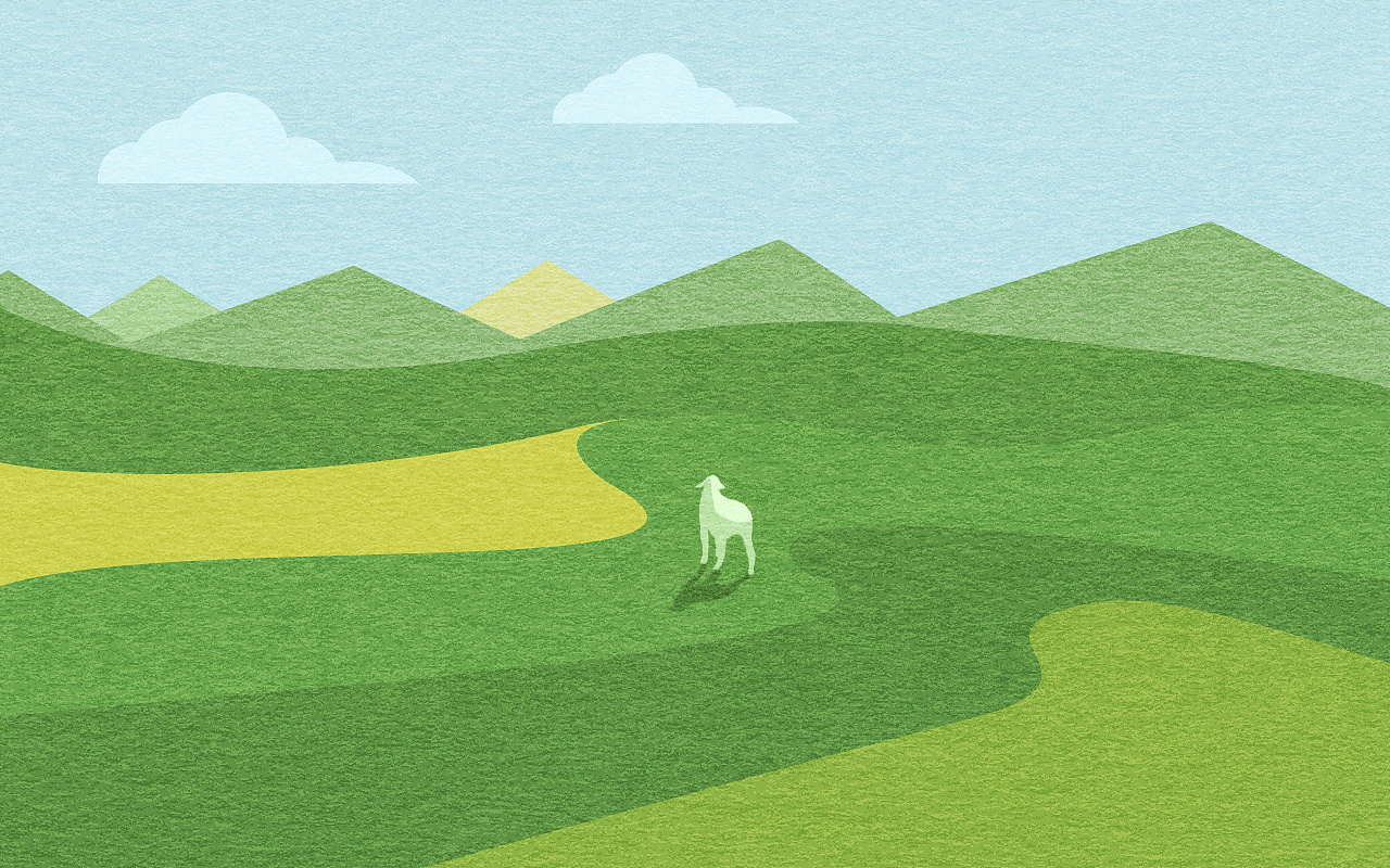 扁平插画(纹理噪点)