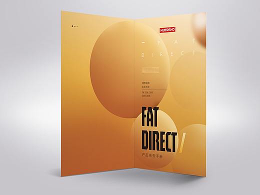FAT DIRECT 系列产品手册