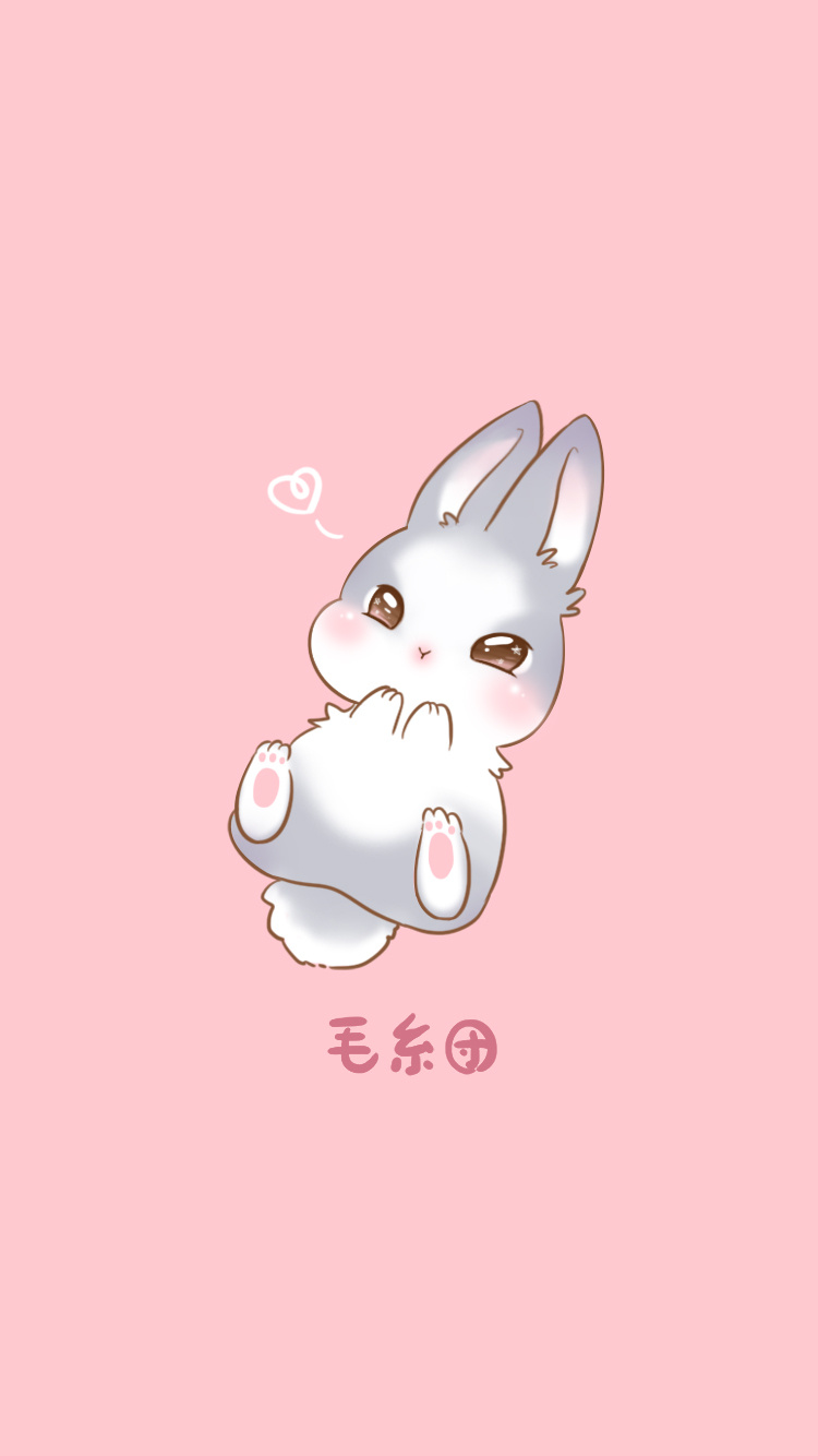 我家萌宠(团团&兔兔)