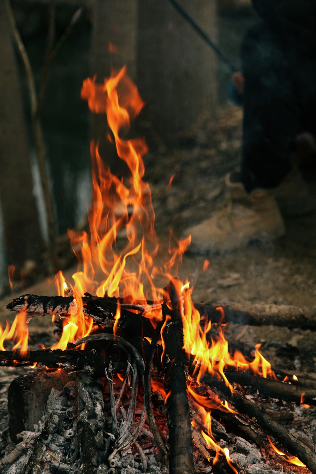 生活美学摄影 野外