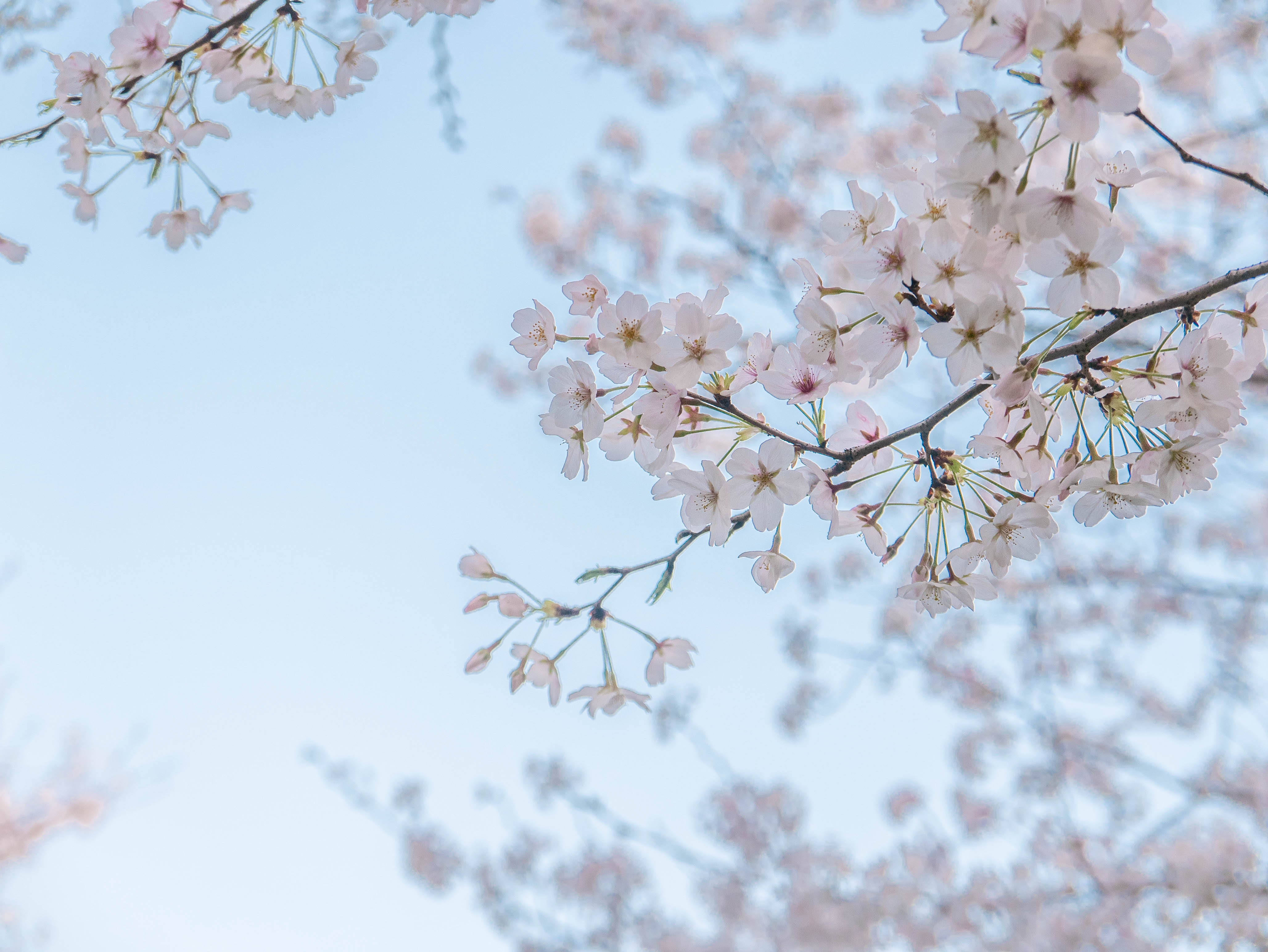 暮羊攝視覺(jué)的個(gè)人主頁(yè)（封面預(yù)覽） - 主頁(yè)封面設(shè)置 - 站酷設(shè)計(jì)師暮羊攝視覺(jué)原創(chuàng)素材 - 站酷ZCOOL