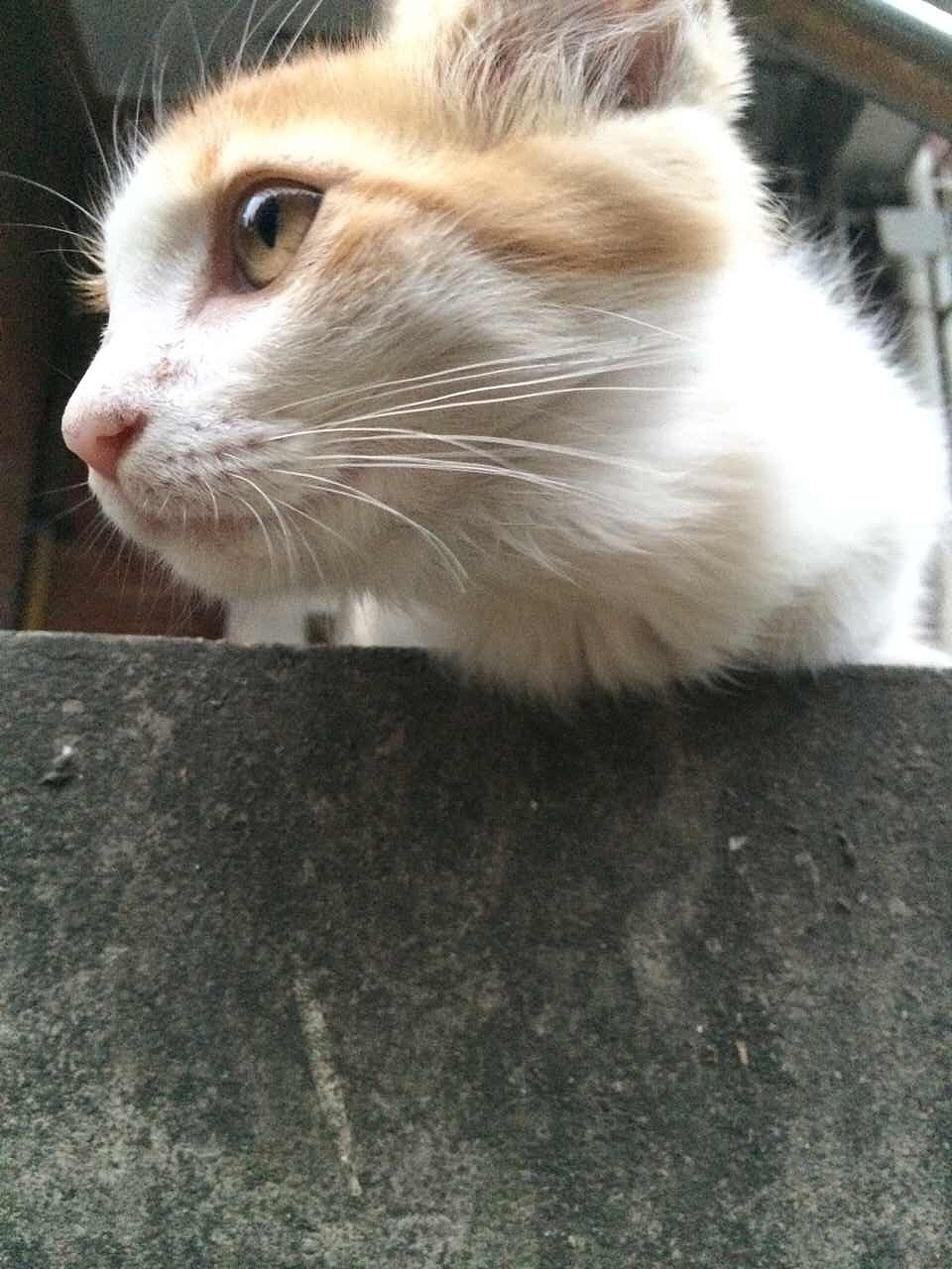 至今拍摄的一些照片（图ZNTUyMTI3MDg=） - 风光摄影 - 站酷设计师tear1107原创素材 - 站酷ZCOOL