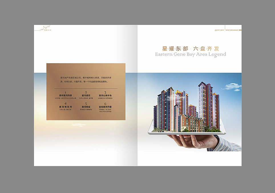 星河地产品牌宣传画册