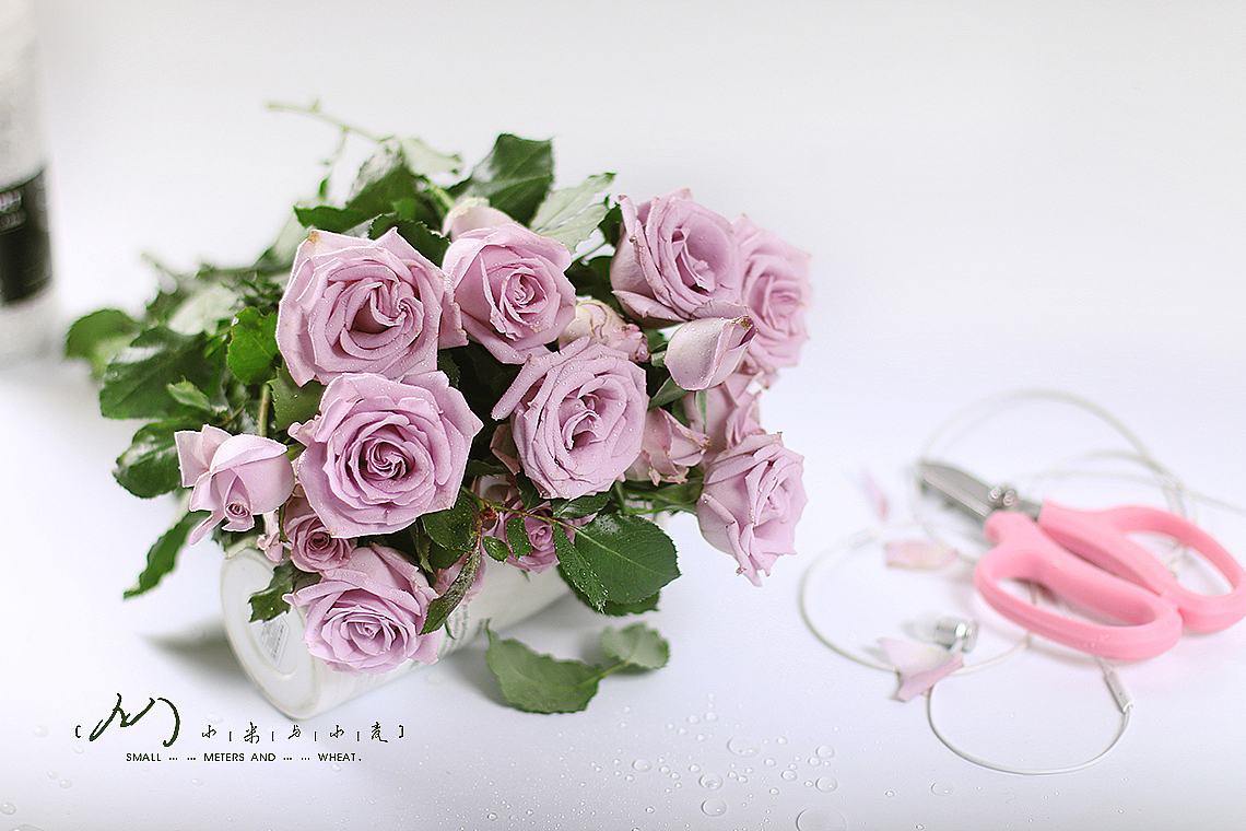 Flower-紫精灵（图ZOTc2MjE0Njg=） - 产品摄影 - 站酷设计师小米与小麦原创素材 - 站酷ZCOOL