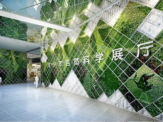 白城市科文中心03