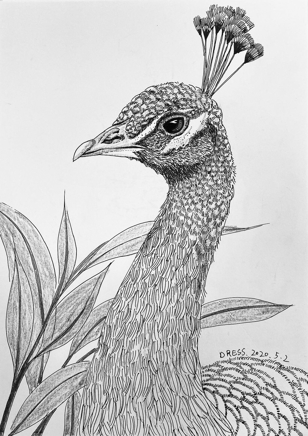 手绘中性笔照片速写