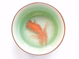 金魚酒