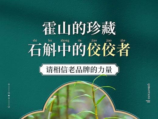石斛详情页