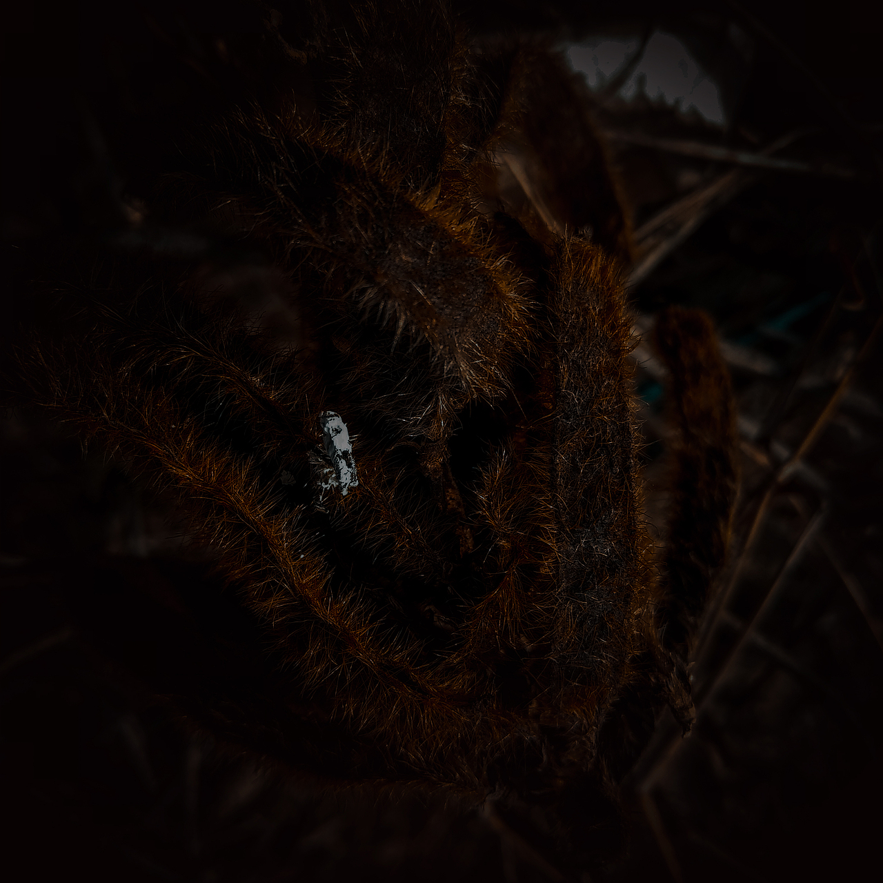 被忽视的自然美（图ZMTI0OTU3NjU2） - 风光摄影 - 站酷设计师Jauver原创素材 - 站酷ZCOOL