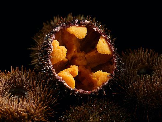 同意品牌|美食摄影案例