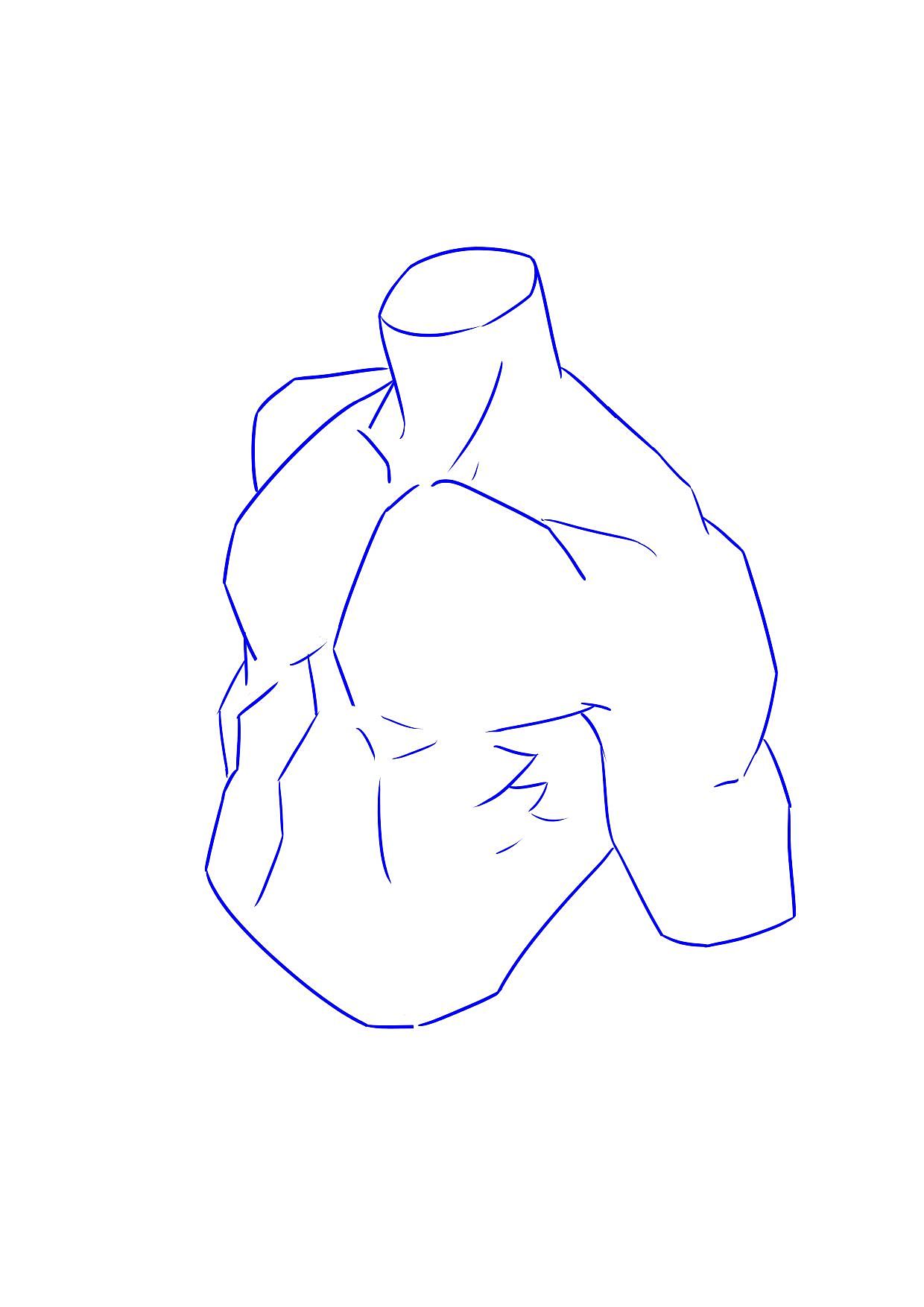 人体练习打卡22—24