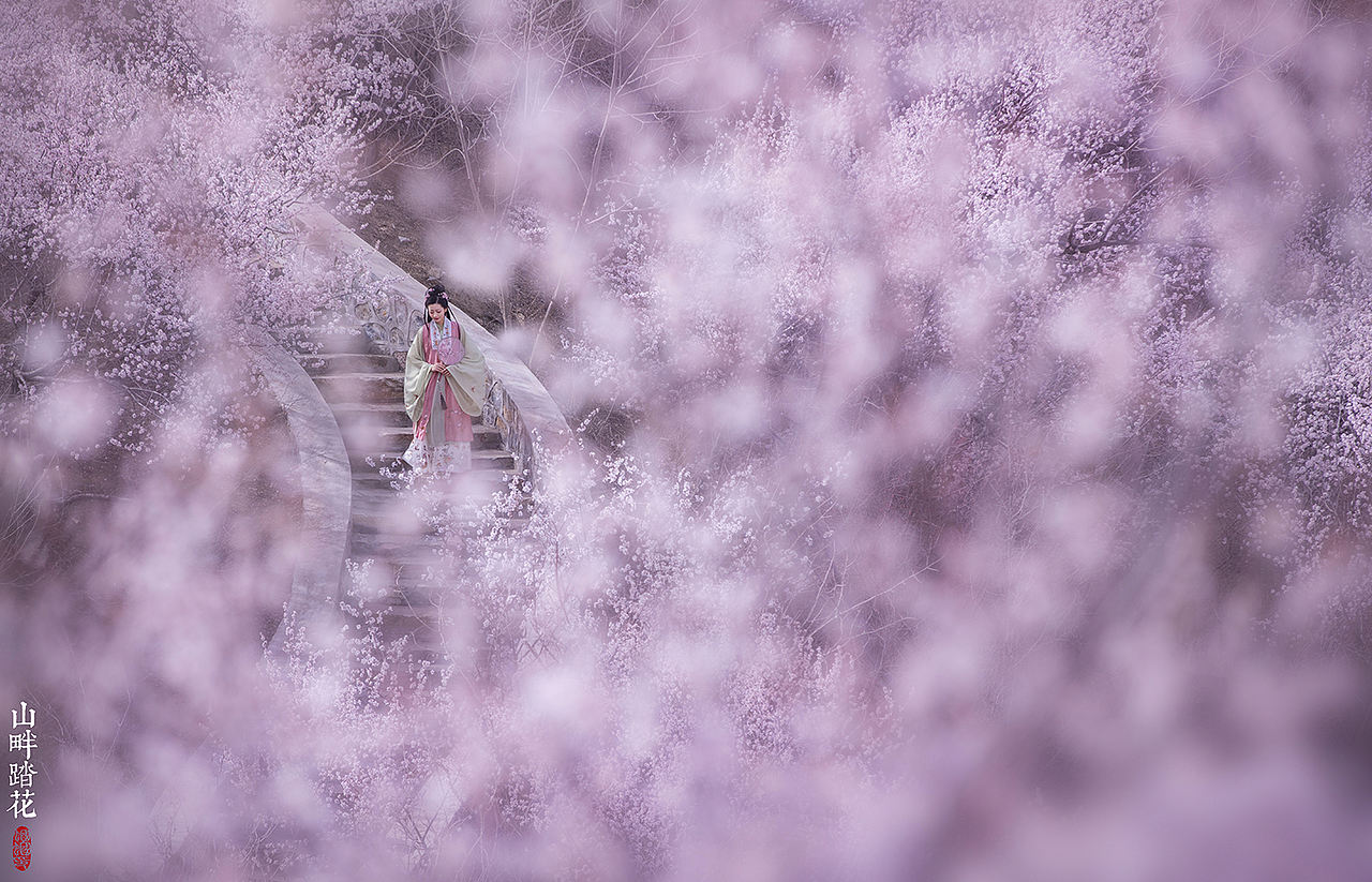 山畔踏花（图ZMjUzODE3NTYw） - 人像摄影 - 站酷设计师摄影师蝈蝈小姐原创素材 - 站酷ZCOOL