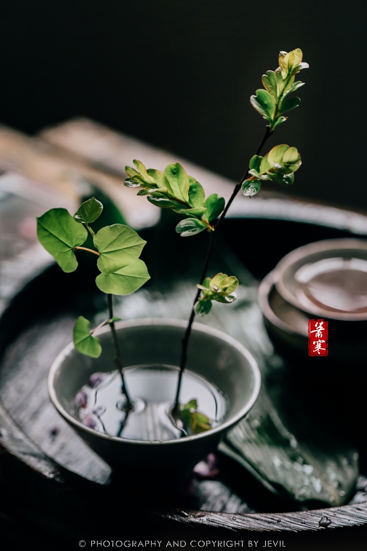 国风静物摄影 | 日高人渴思漫茶(茶年中集)