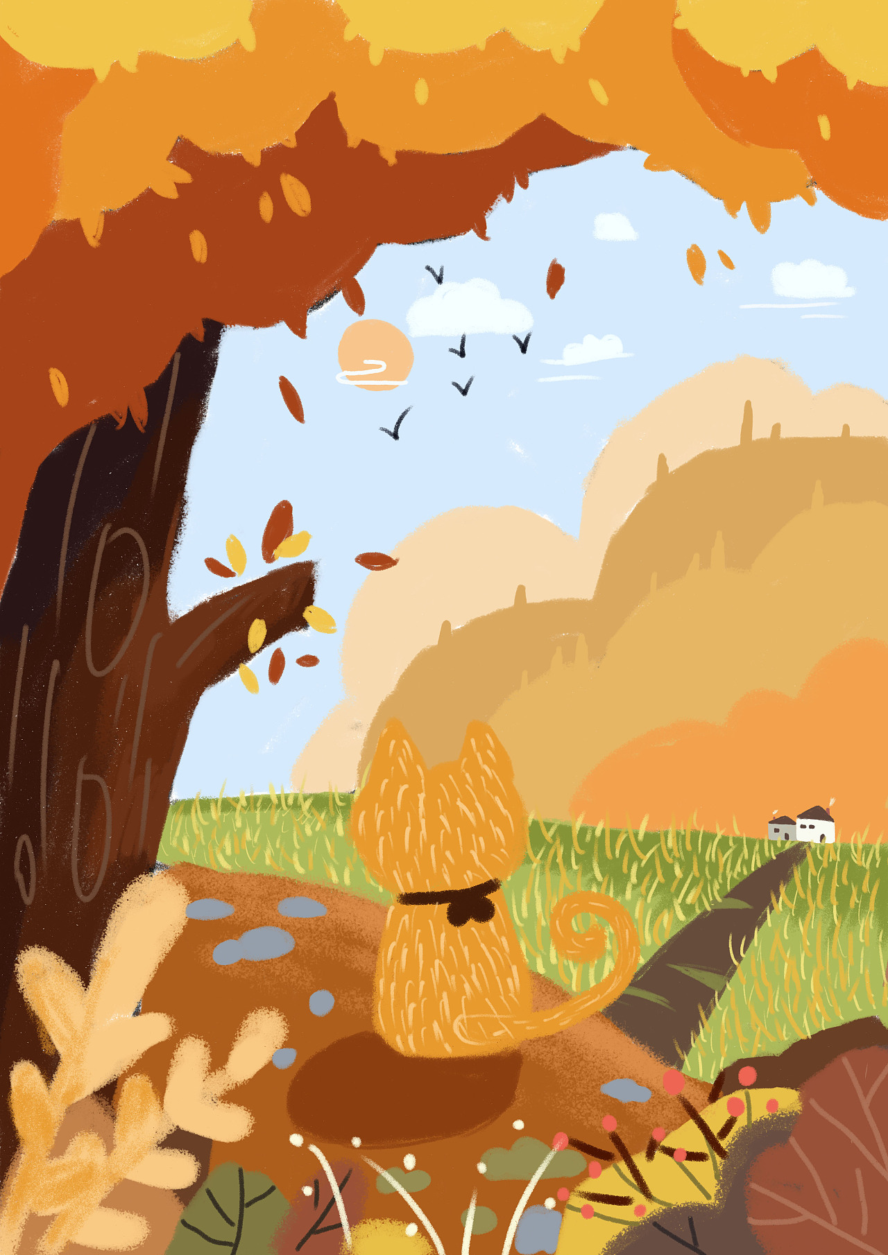 猫猫的惬意生活