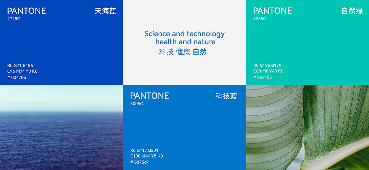 品牌升级设计｜国控星鲨品牌视觉升级（图ZMjk2NTg4NjQ4） - Logo - 站酷设计师东山制造原创素材 - 站酷ZCOOL