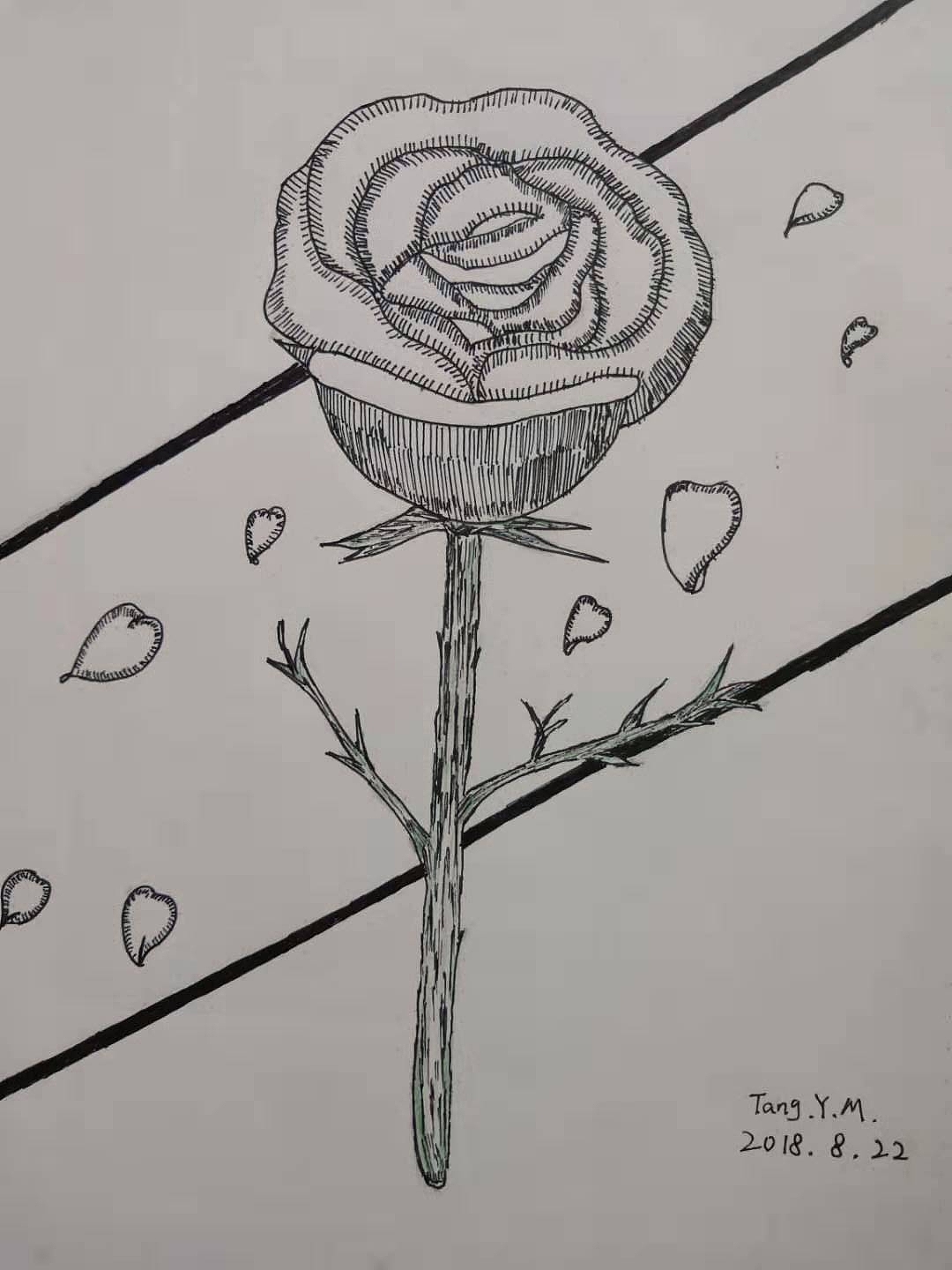 小插画（图ZMTc5MDE4NzI0） - 绘本 - 站酷设计师唐小明原创素材 - 站酷ZCOOL