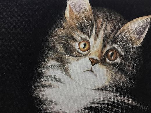 2020水粉/彩铅/水彩手绘练习