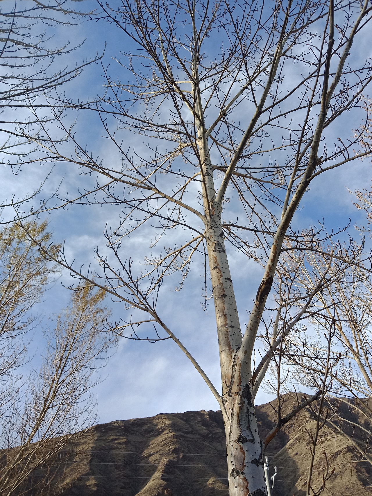 放假间的乐趣（图ZMTExMDg3ODQ4） - 风光摄影 - 站酷设计师ASD落原创素材 - 站酷ZCOOL