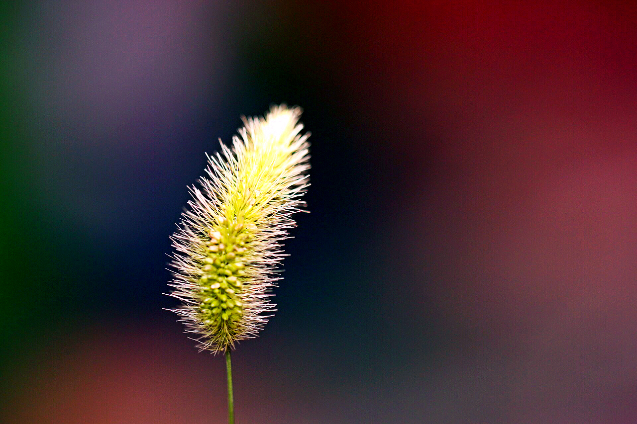 静物（图ZMzMxMTc0OTI=） - 产品摄影 - 站酷设计师scholar_roc原创素材 - 站酷ZCOOL