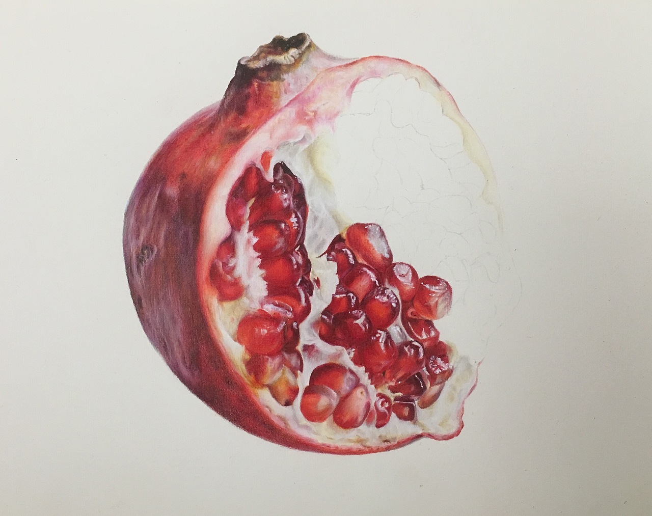 彩铅画【石榴】（图ZMTkxNjY0MDAw） - 绘画 - 站酷设计师龚方俊手绘原创素材 - 站酷ZCOOL