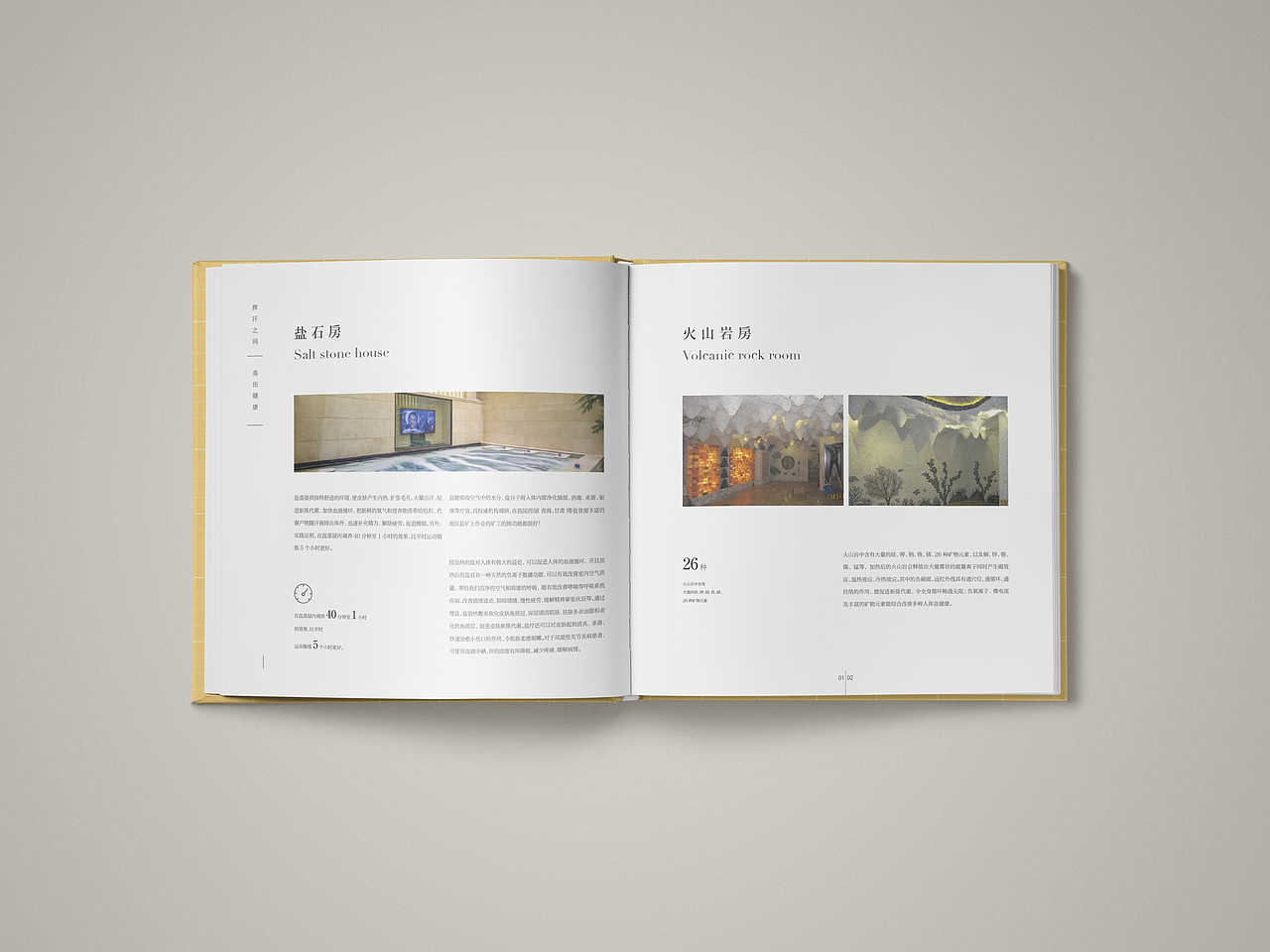汗蒸画册设计（图ZMTE5MTk4NTI0） - 书籍/画册 - 站酷设计师Lisa果原创素材 - 站酷ZCOOL
