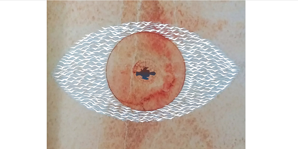 The Conference of birds（图ZMTg2ODI1Mzky） - 书籍/画册 - 站酷设计师奥莉维娅原创素材 - 站酷ZCOOL