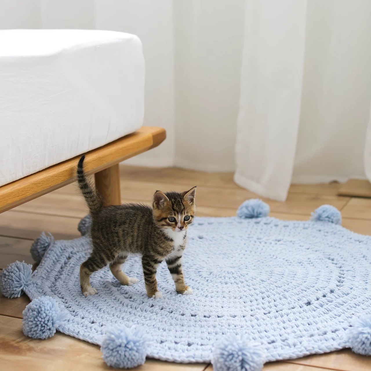 編織地墊 撿來的小貓咪做模特（圖ZMTEwODczNzY4） - 產(chǎn)品攝影 - 站酷設(shè)計(jì)師碎朵家居原創(chuàng)素材 - 站酷ZCOOL