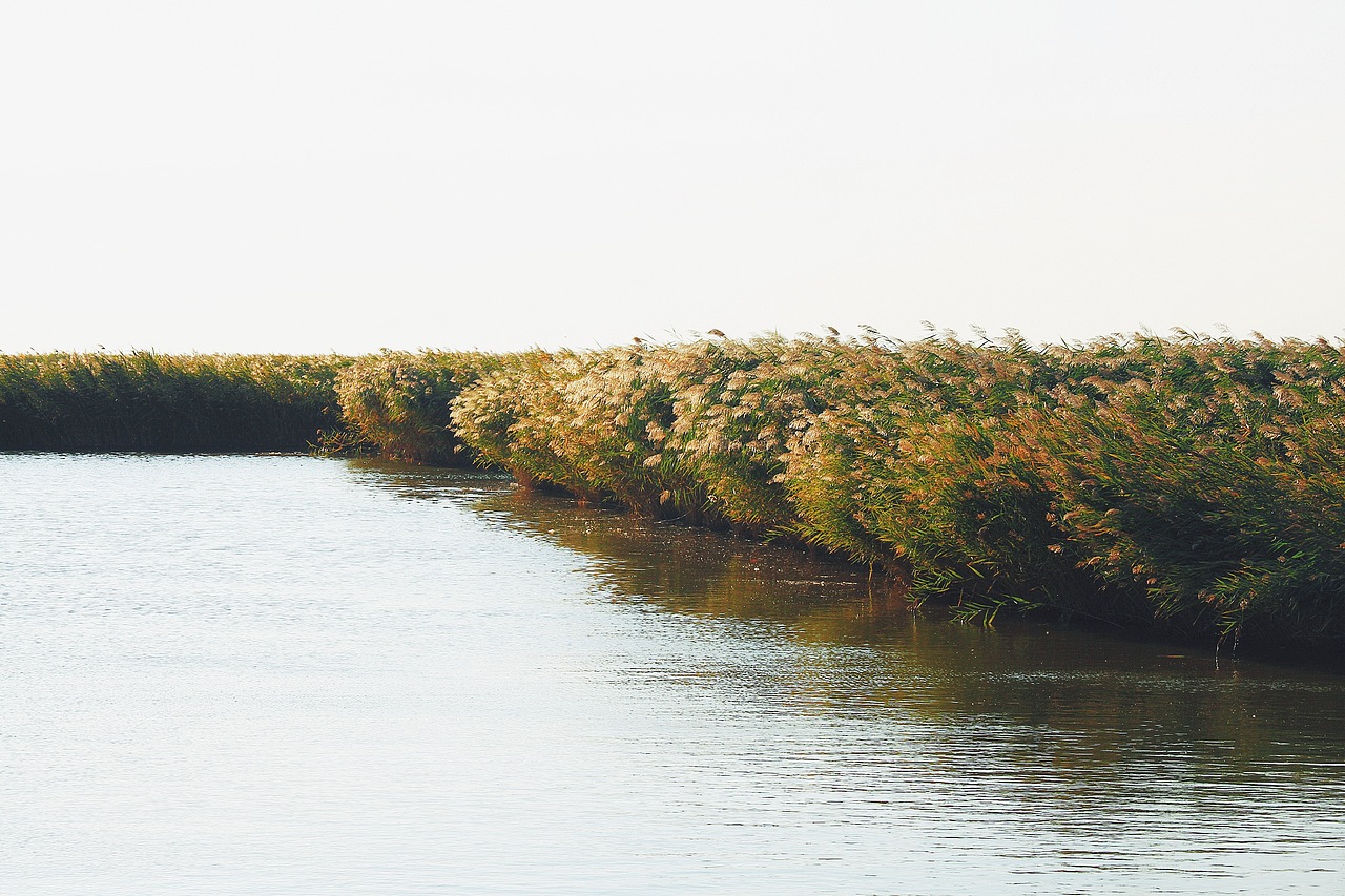 辽宁盘锦 | 红海滩