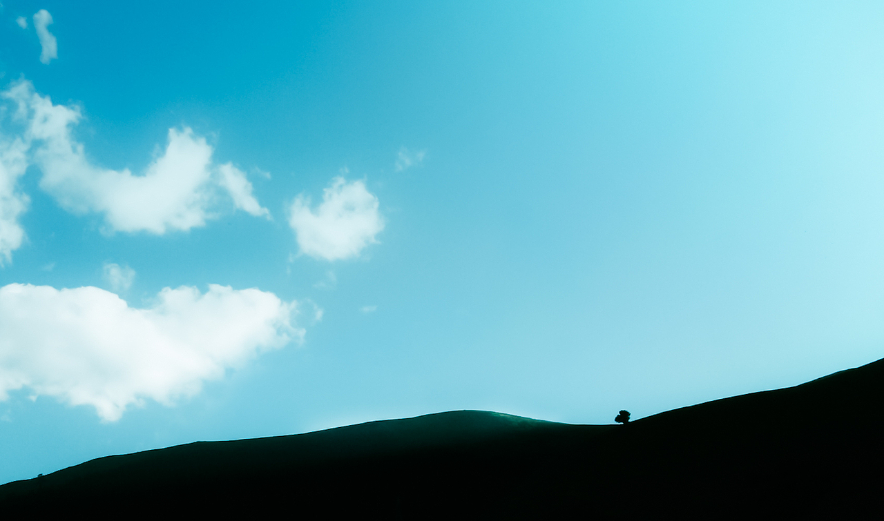 后边几张片就不加水印了