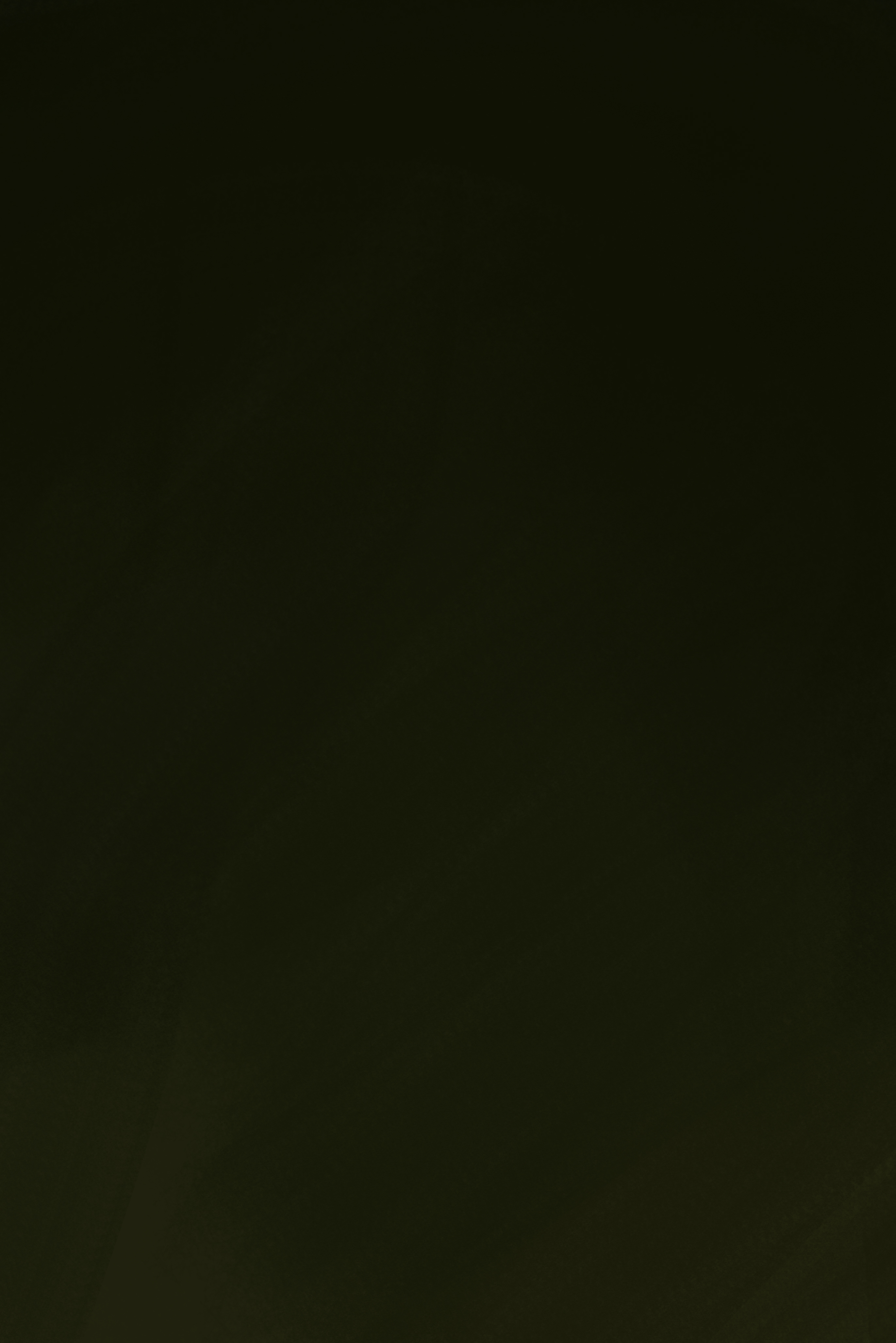 狗子999的個(gè)人主頁(yè)（封面預(yù)覽） - 主頁(yè)封面設(shè)置 - 站酷設(shè)計(jì)師狗子999原創(chuàng)素材 - 站酷ZCOOL