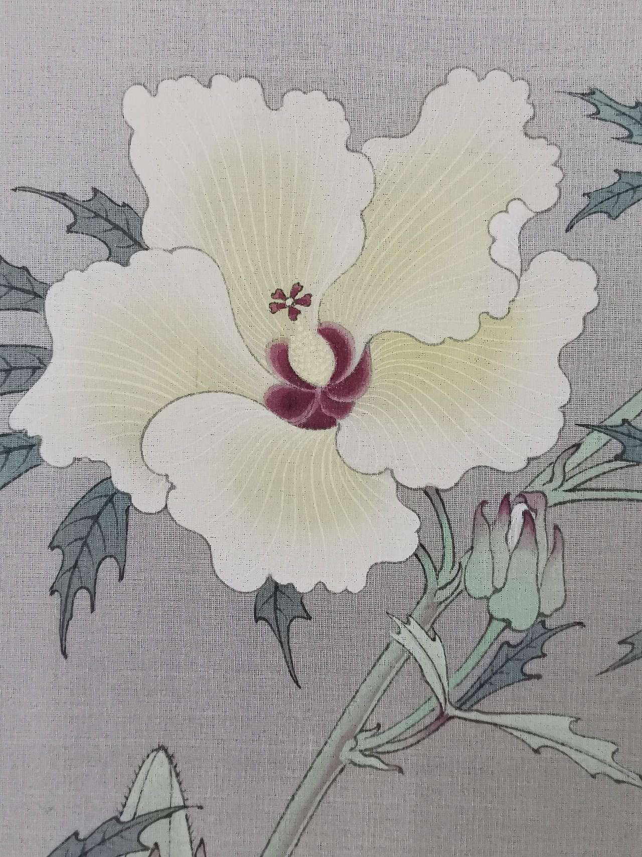 秋葵图课堂示范