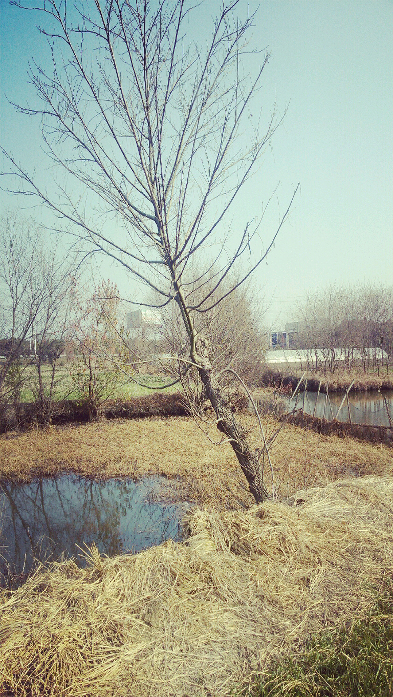 冬日·静谧（图ZMzY2ODYwMDA=） - 其他摄影 - 站酷设计师IssueBeam原创素材 - 站酷ZCOOL