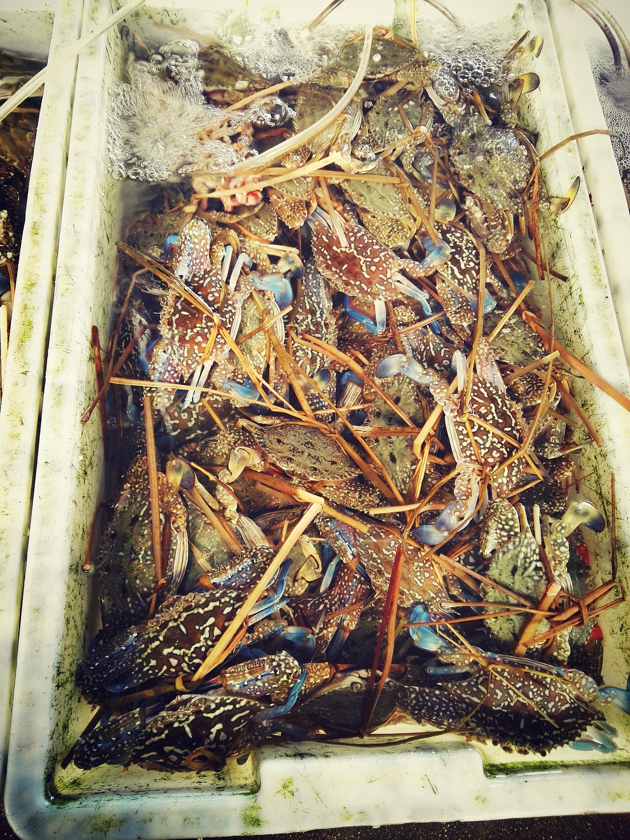 襄阳-长沙-北海