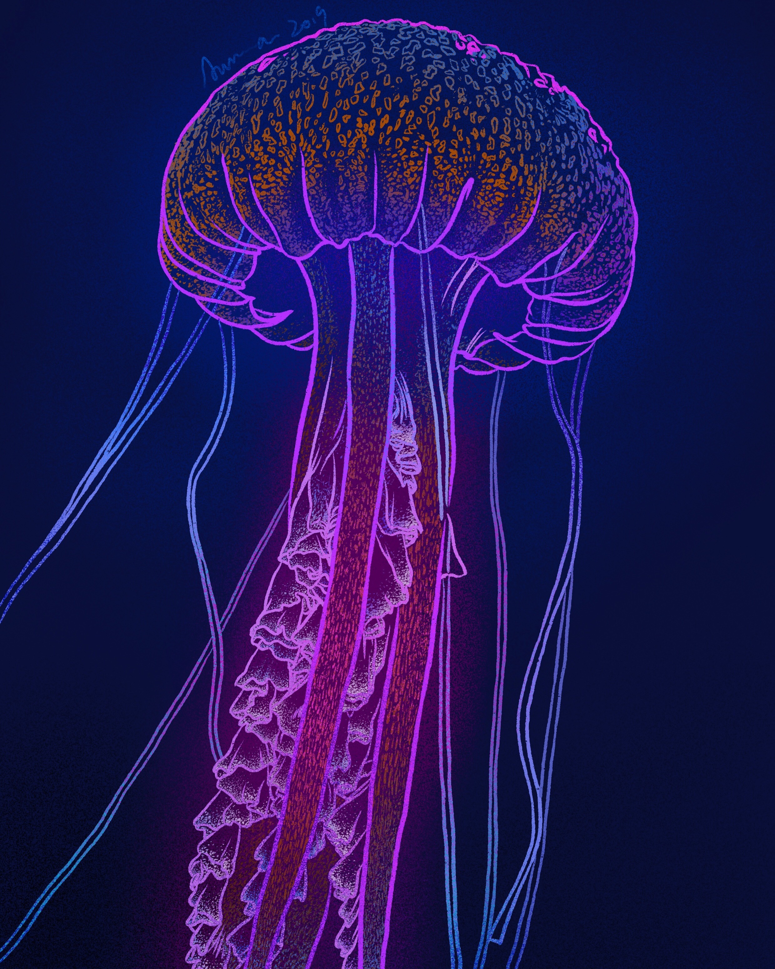 jellyfish|插画|创作习作|im_aurora - 原创作品 - 站酷 (zcool)