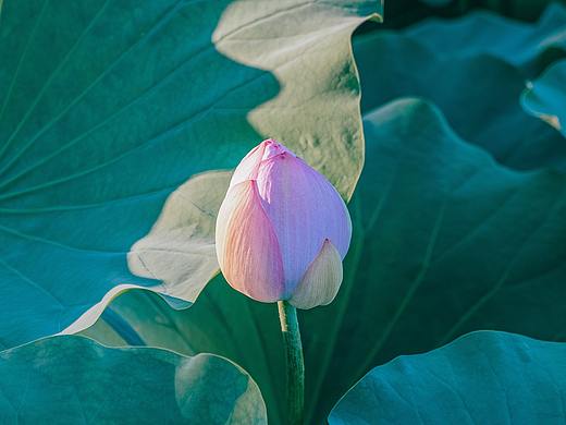 拍攝瑣碎（個(gè)人主頁(yè)-ZNTQxMzE3MjQ=） - 人文/紀(jì)實(shí)攝影 - 站酷設(shè)計(jì)師花卷C原創(chuàng)素材 - 站酷ZCOOL