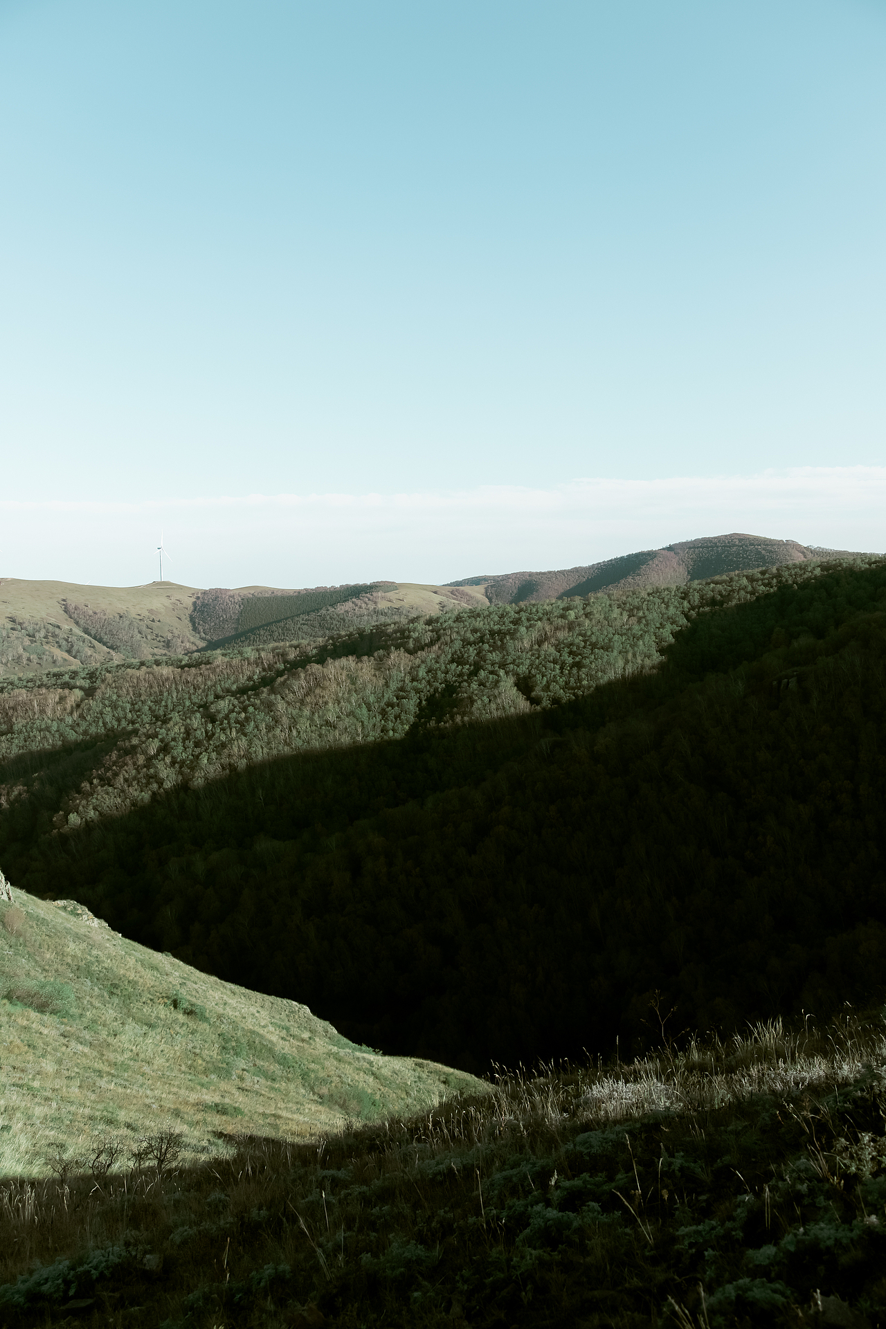 风景拍摄，日式调色，草原风景（图ZMTc3NDM0Njgw） - 风光摄影 - 站酷设计师丨多鱼丨原创素材 - 站酷ZCOOL