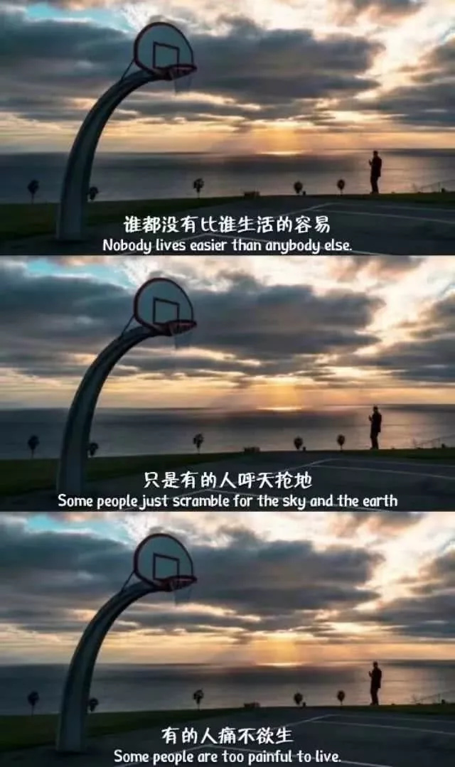 故事海的个人主页（背景预览） - 主页背景设置 - 站酷设计师故事海原创素材 - 站酷ZCOOL