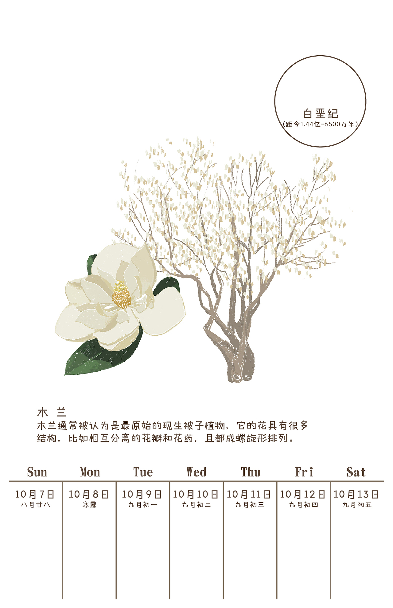 原创地学插画日历