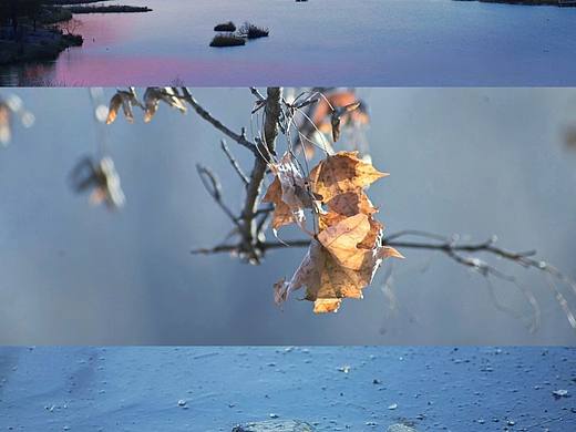 冬天的清晨（個(gè)人主頁(yè)-ZNjMyMzk4NjQ=） - 風(fēng)光攝影 - 站酷設(shè)計(jì)師不在水里游泳的魚(yú)原創(chuàng)素材 - 站酷ZCOOL