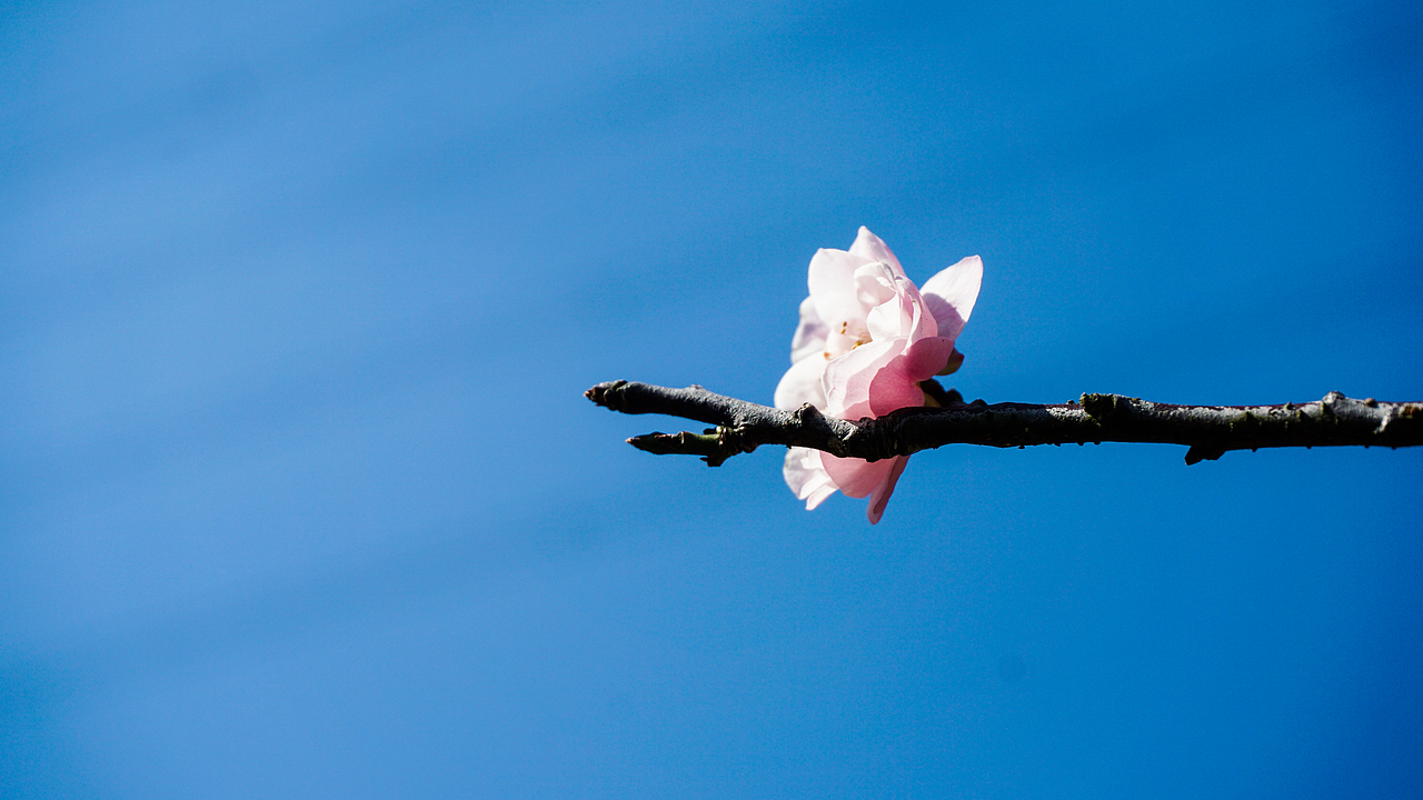 【冬·暖晴天】