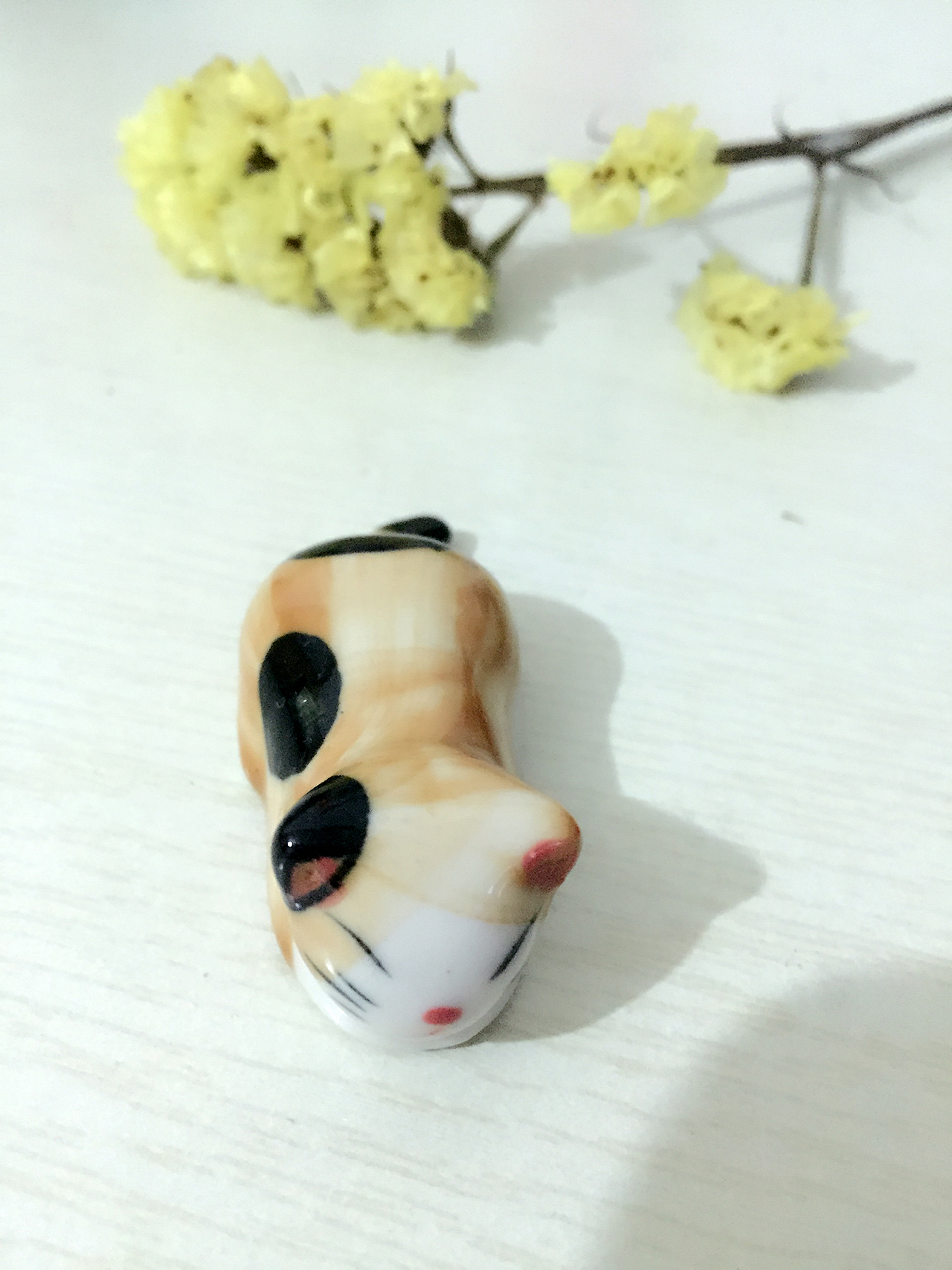 手机随拍汇总（图ZNTMyMjc5NzY=） - 风光摄影 - 站酷设计师嗳菈菈原创素材 - 站酷ZCOOL