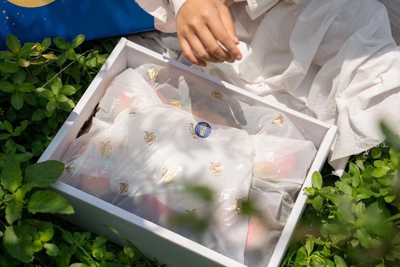 ｛原创｝水果石榴手绘包装设计食品礼盒包装袋品牌原创（图ZMzQ4OTM0NDQ4） - 包装 - 站酷设计师海妖视觉原创素材 - 站酷ZCOOL