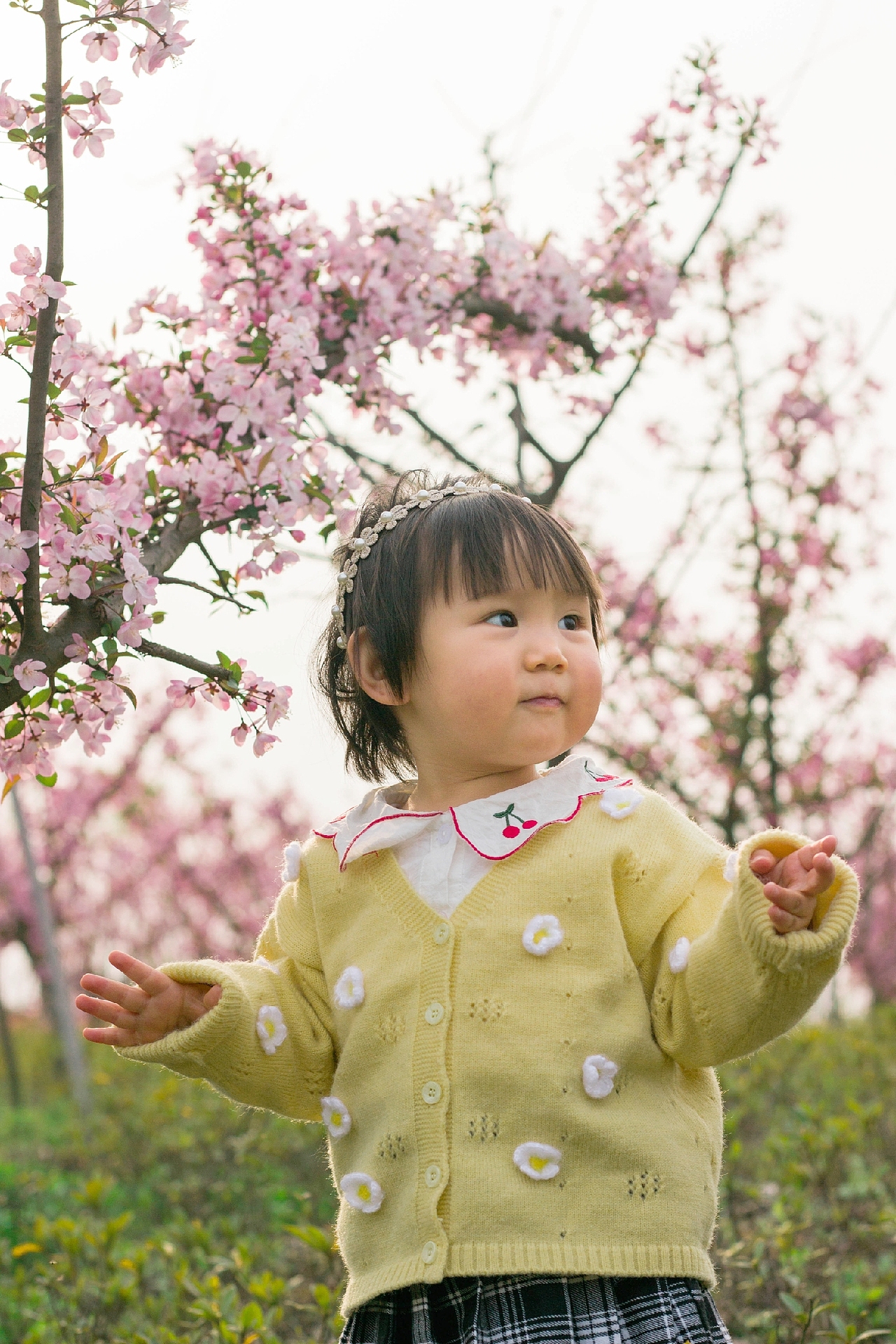 去油菜花田采花（图ZMjE1NDI1NjAw） - 人文/纪实摄影 - 站酷设计师鬼鬼思密达原创素材 - 站酷ZCOOL