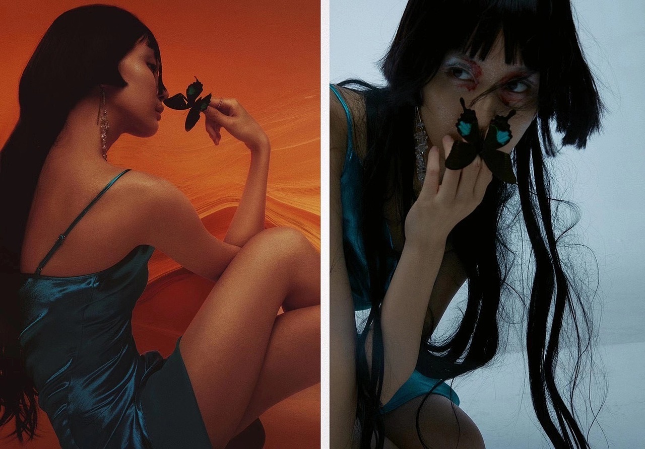 创意片|陨蝶入梦