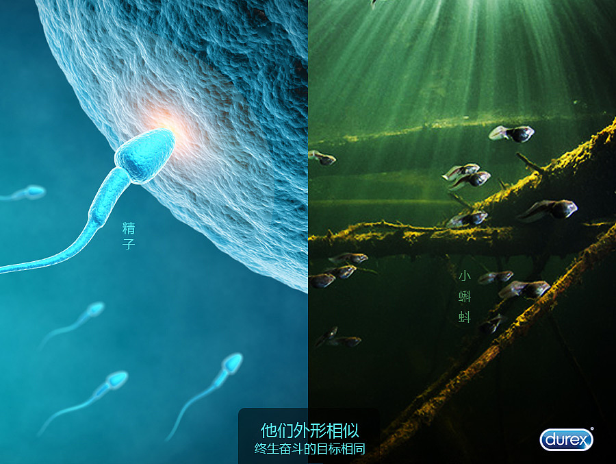 小蝌蚪的梦想（图ZMjc2MDA4NzI=） - 包装 - 站酷设计师新萝卜包装设计原创素材 - 站酷ZCOOL