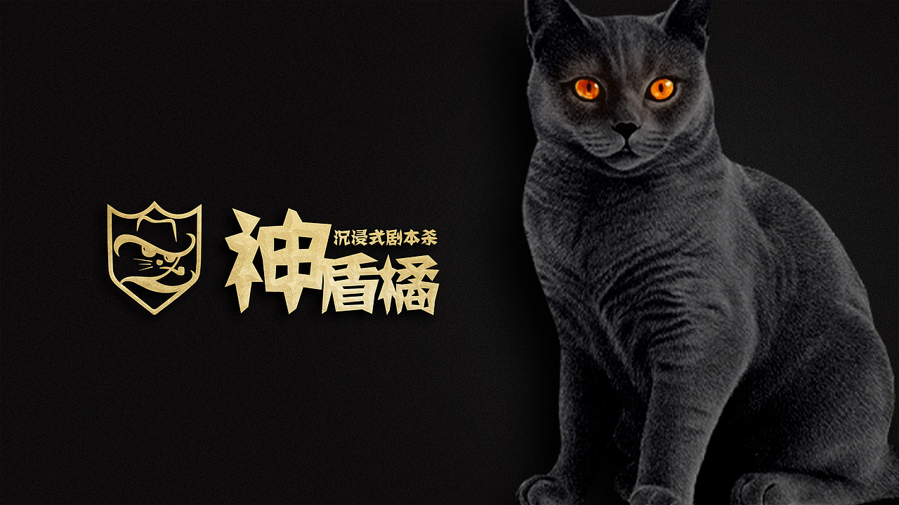 神盾橘沉浸式剧本杀vi视觉（图ZMjgxNTY2Nzg0） - 品牌 - 站酷设计师小培培啊原创素材 - 站酷ZCOOL