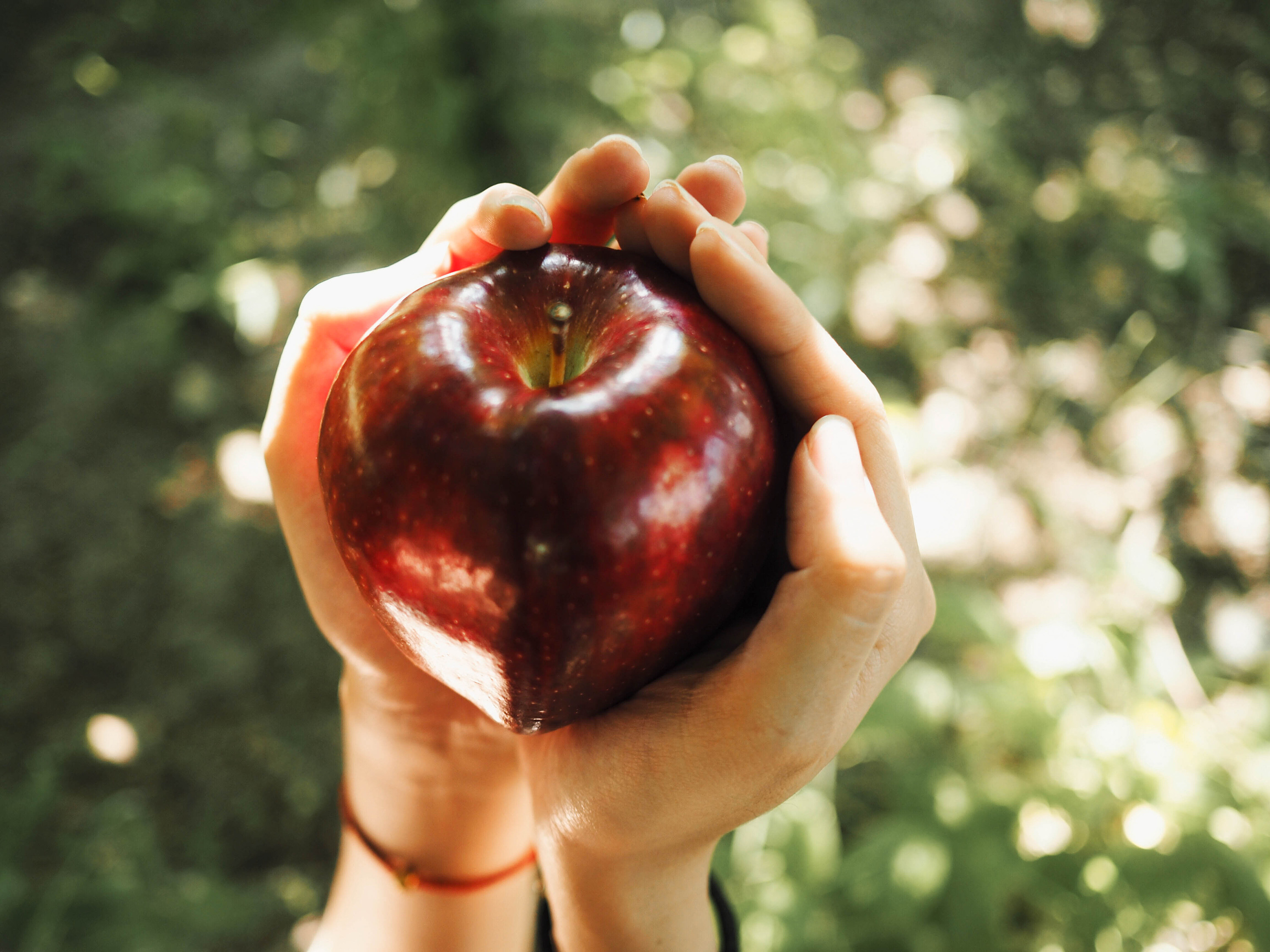 被咬了一口的苹果