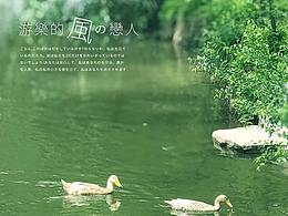 小鸭子的游乐园